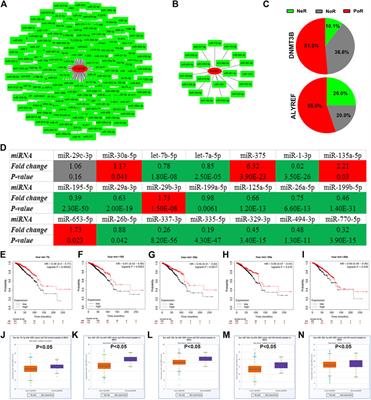 A Comprehensive Analysis for Expression, Diagnosis, and Prognosis of m5C Regulator in Breast Cancer and Its ncRNA–mRNA Regulatory Mechanism